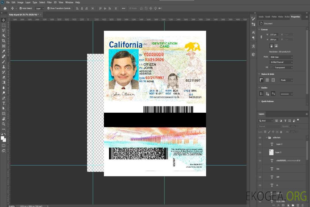 Carte d'identité des États-Unis et de la Californie 2021-présent template
